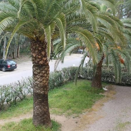 T2 Calvi Entierement Equipe A 150M De La Plage. Екстер'єр фото