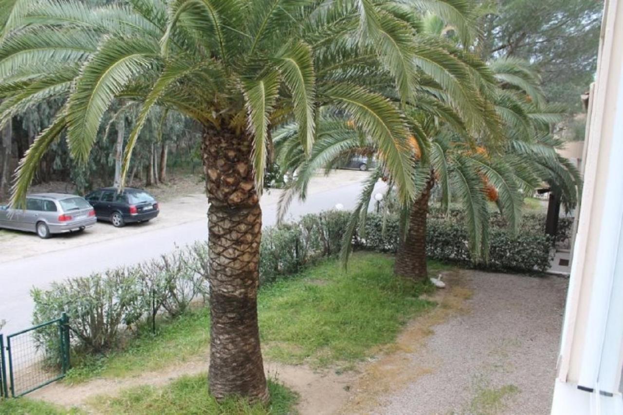 T2 Calvi Entierement Equipe A 150M De La Plage. Екстер'єр фото