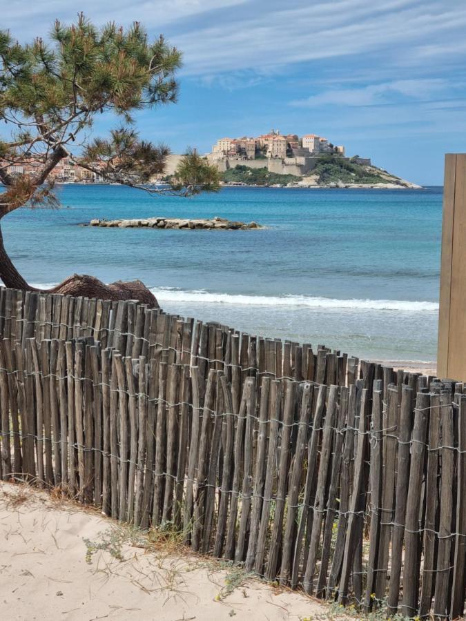 T2 Calvi Entierement Equipe A 150M De La Plage. Екстер'єр фото